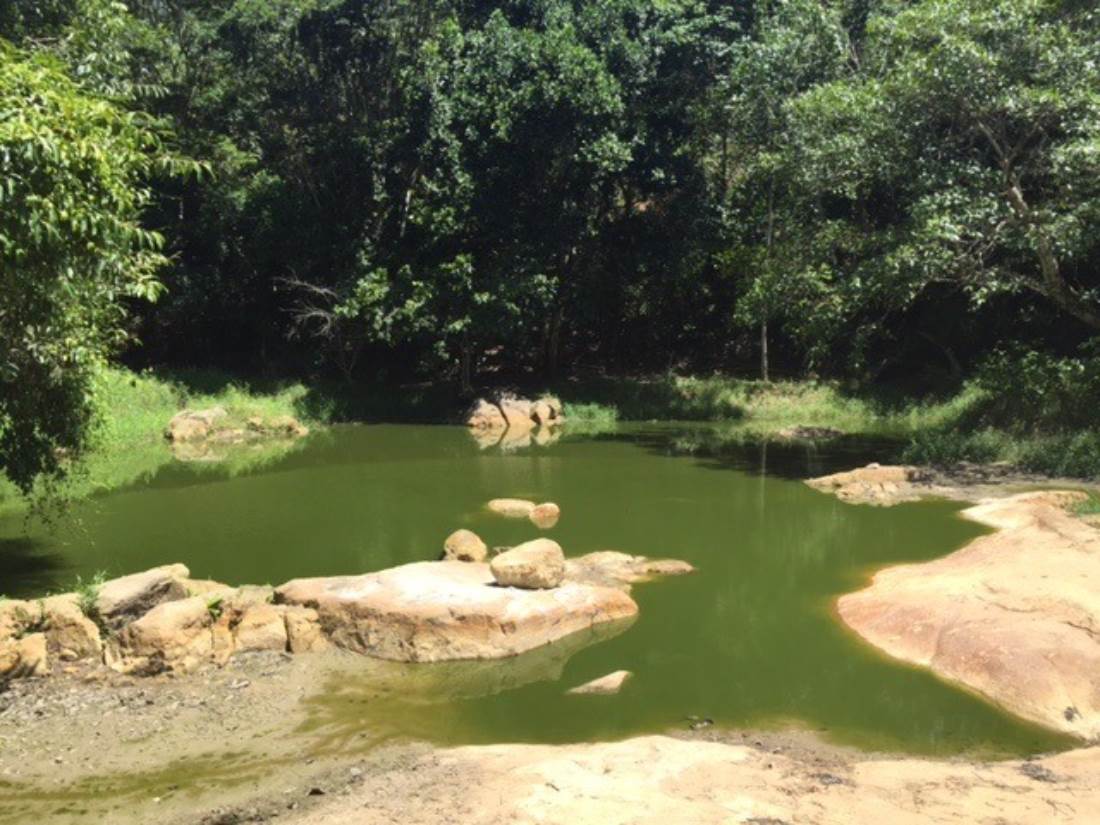 Campeonato Mundial Capoeira Quilombo dos Palmares